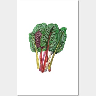 Chard Illustration Posters and Art